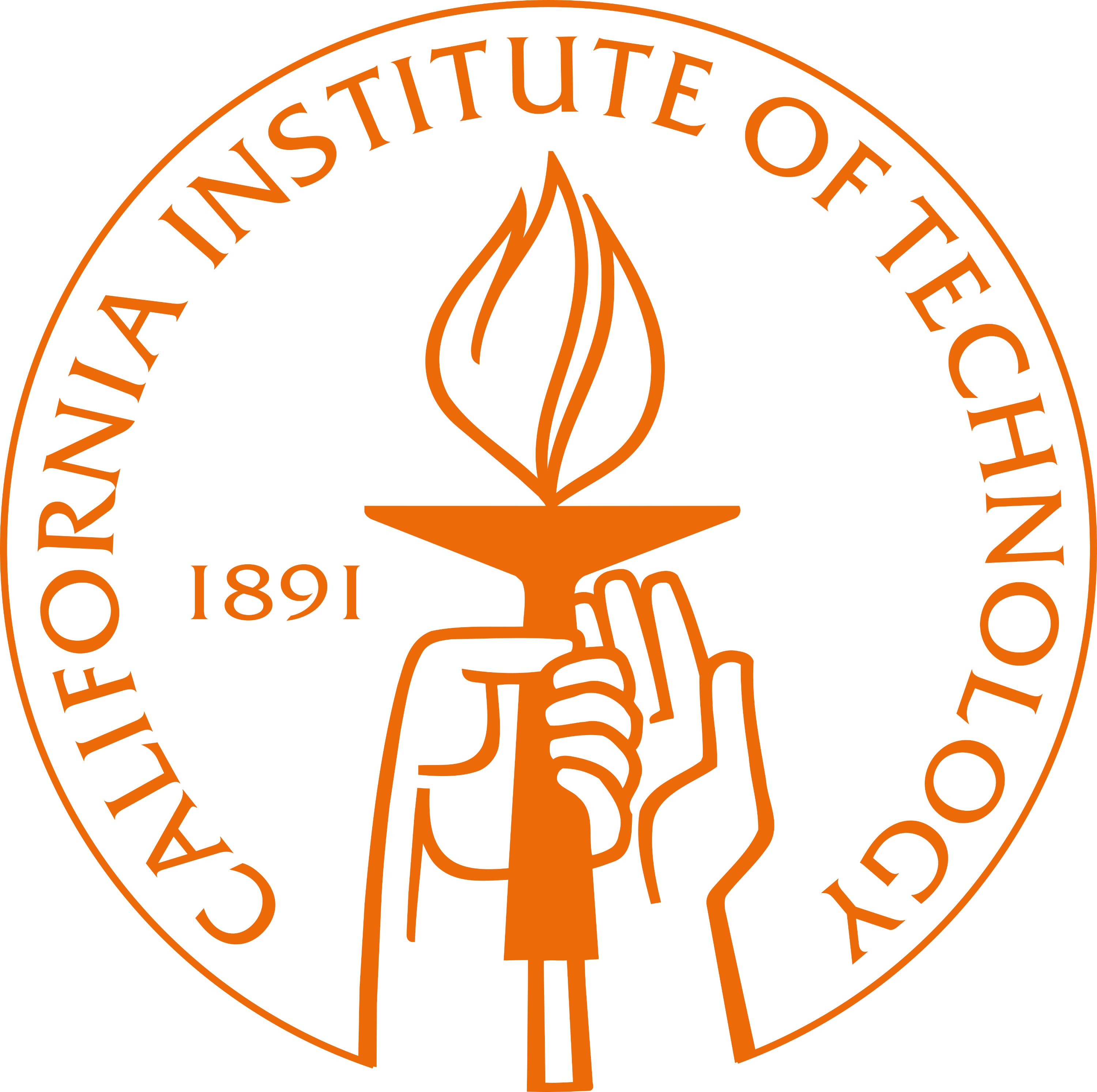 Caltech 录取